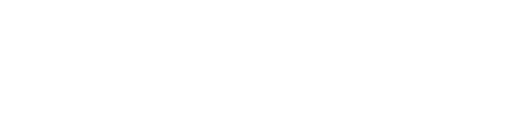 Cybersource, a Visa solution logo
