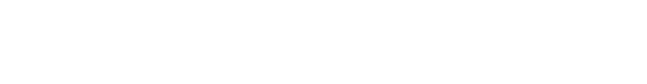 WordPress logo